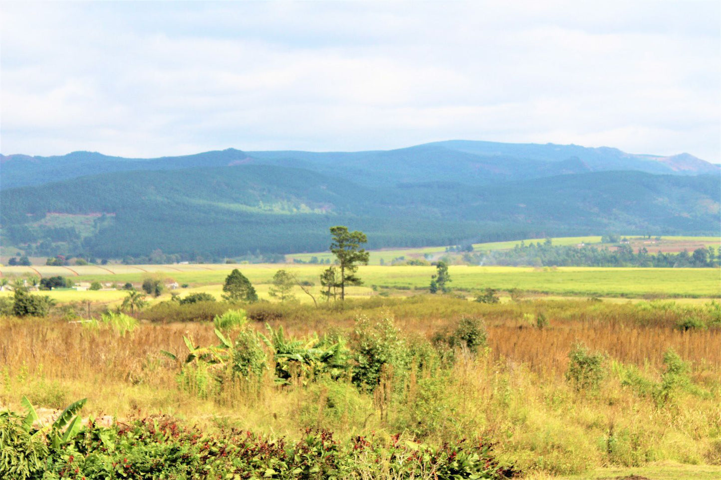 Σουαζιλάνδη